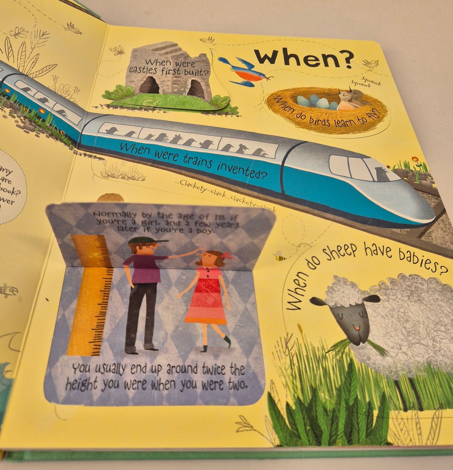 Usborne - Lift-the-Flap Questions and Answers
