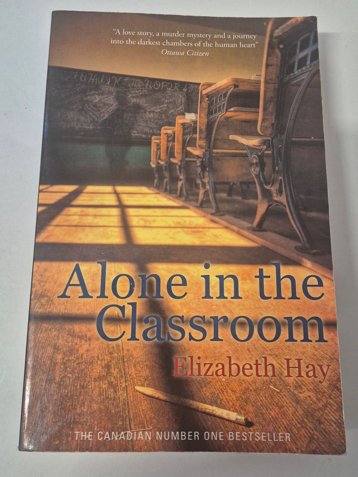 Alone in the Classroom by Elizabeth Hay