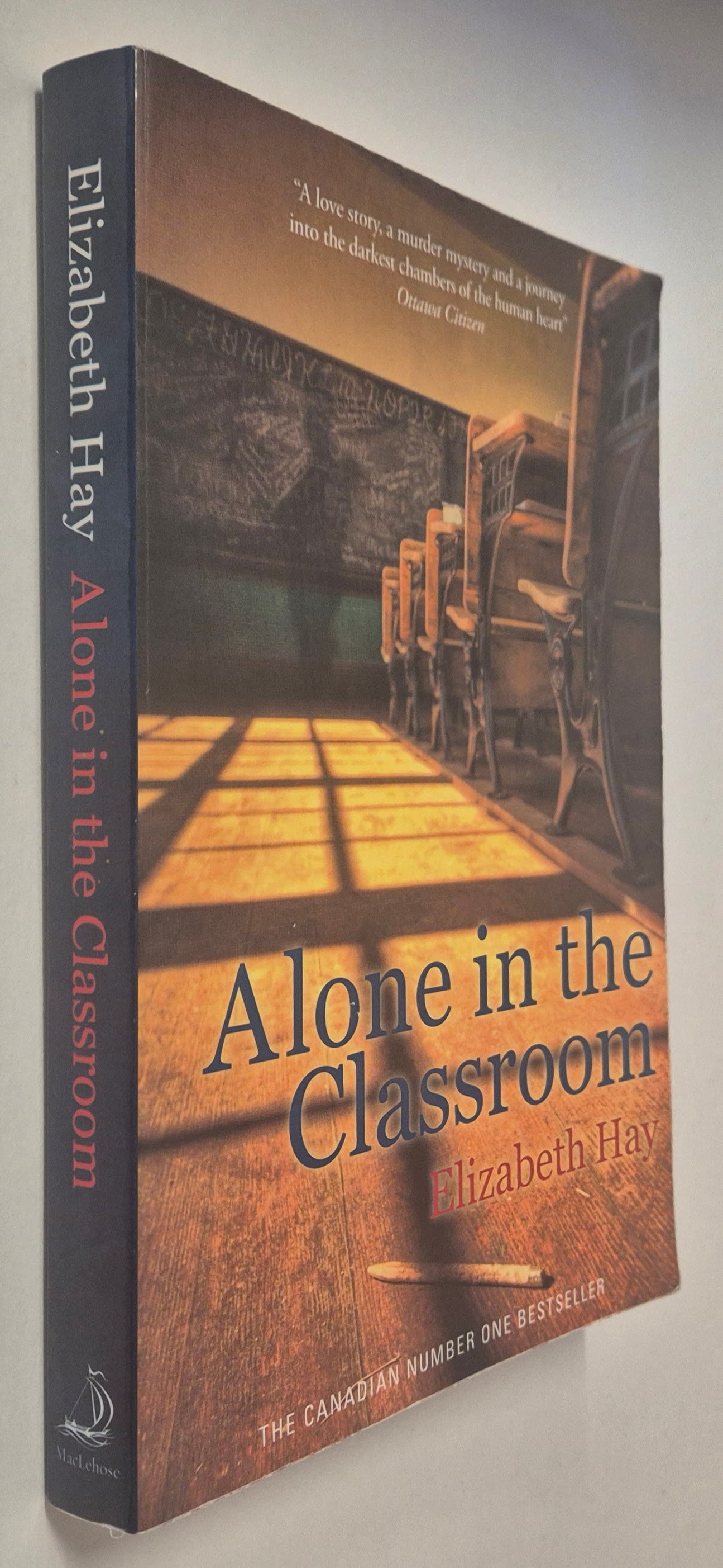 Alone in the Classroom by Elizabeth Hay