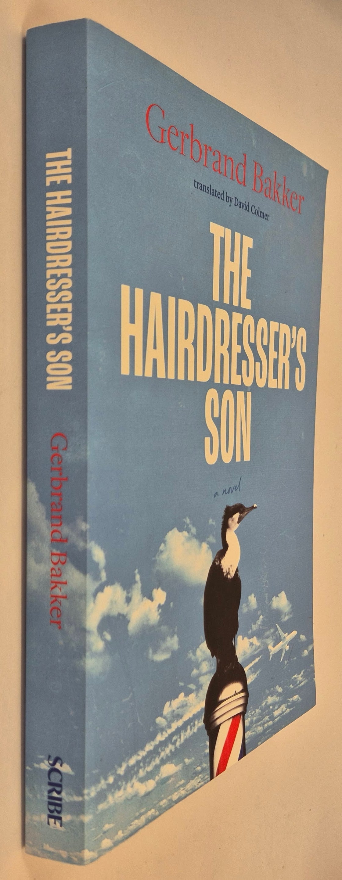 The Hairdresser's Son by Gerbrand Bakker