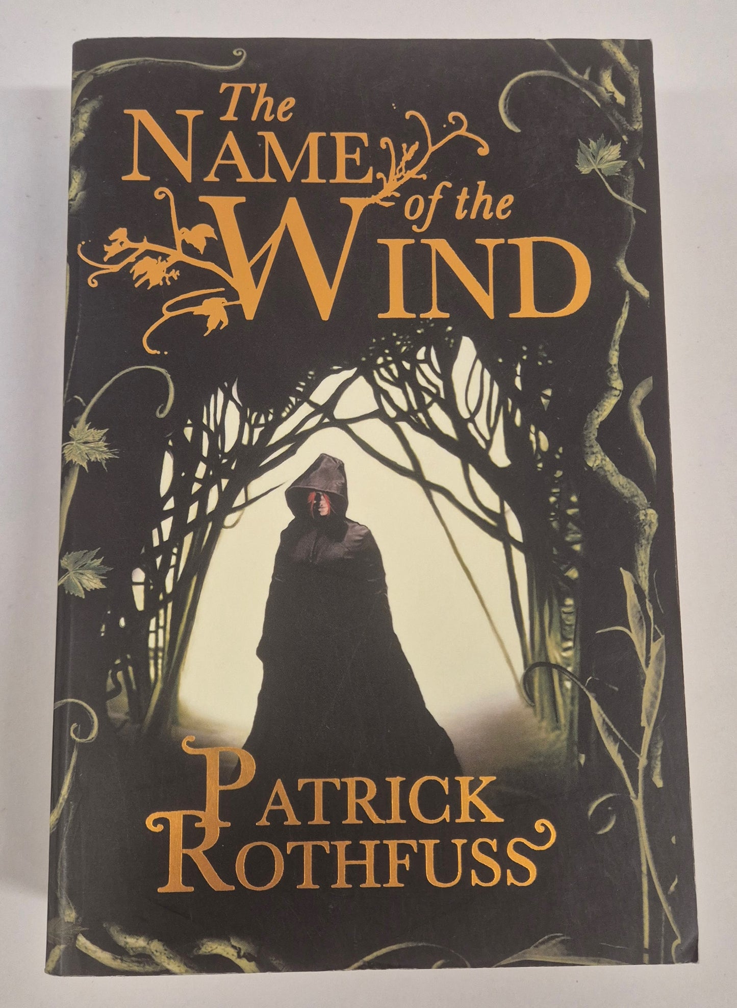 The Name of the Wind (The Kingkiller Chronicle #1) by Patrick Rothfuss