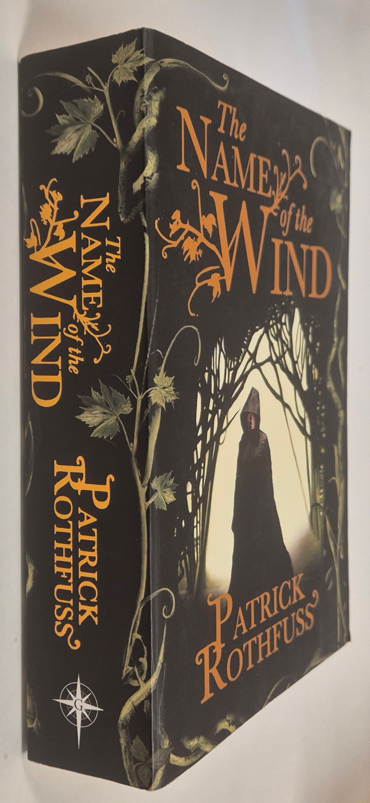 The Name of the Wind (The Kingkiller Chronicle #1) by Patrick Rothfuss