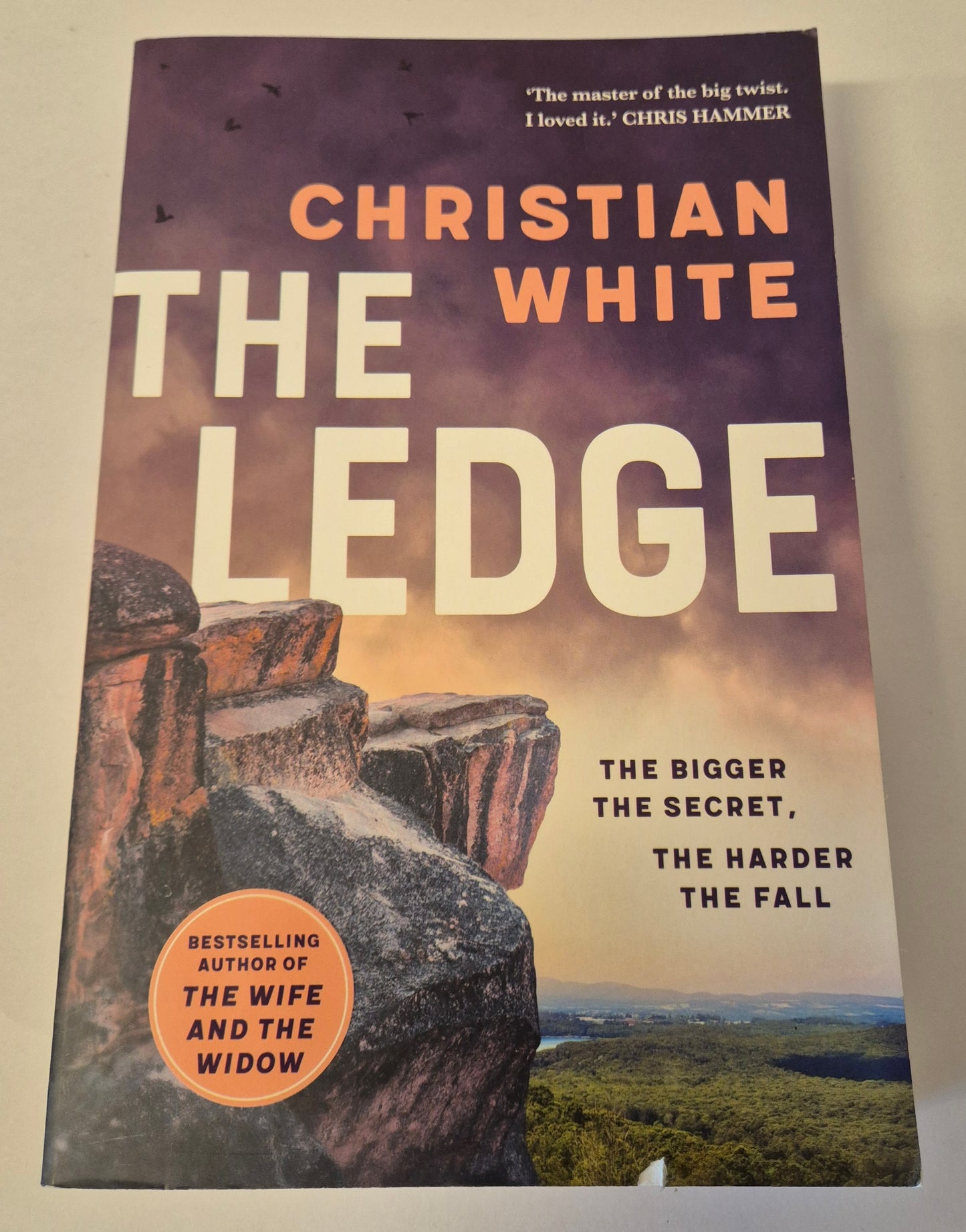 The Ledge by Christian White