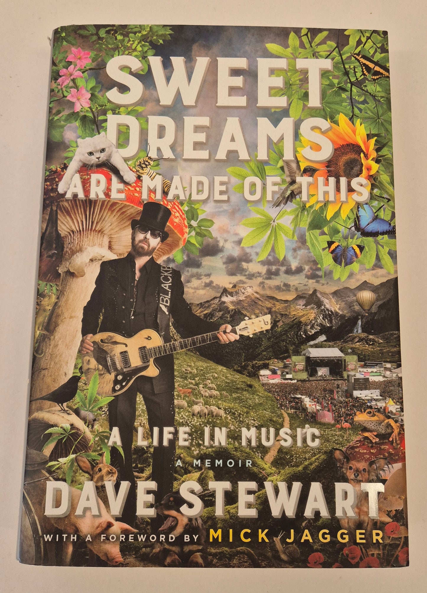 Sweet Dreams Are Made of This: A Life in Music by Dave Stewart