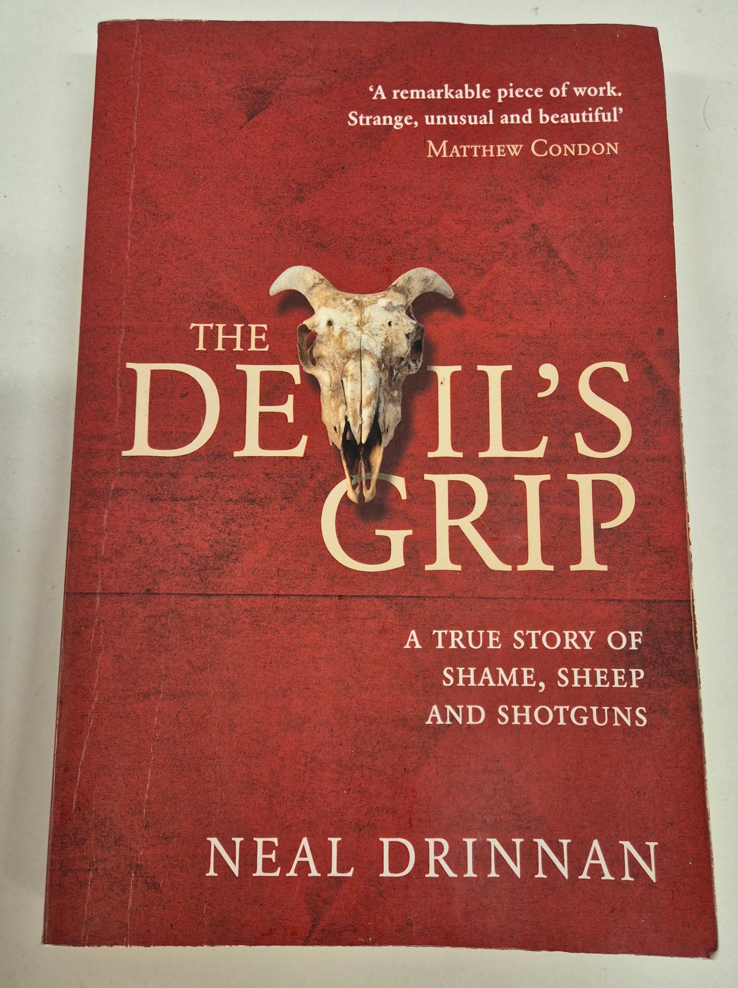 The Devil's Grip by Neal Drinnan