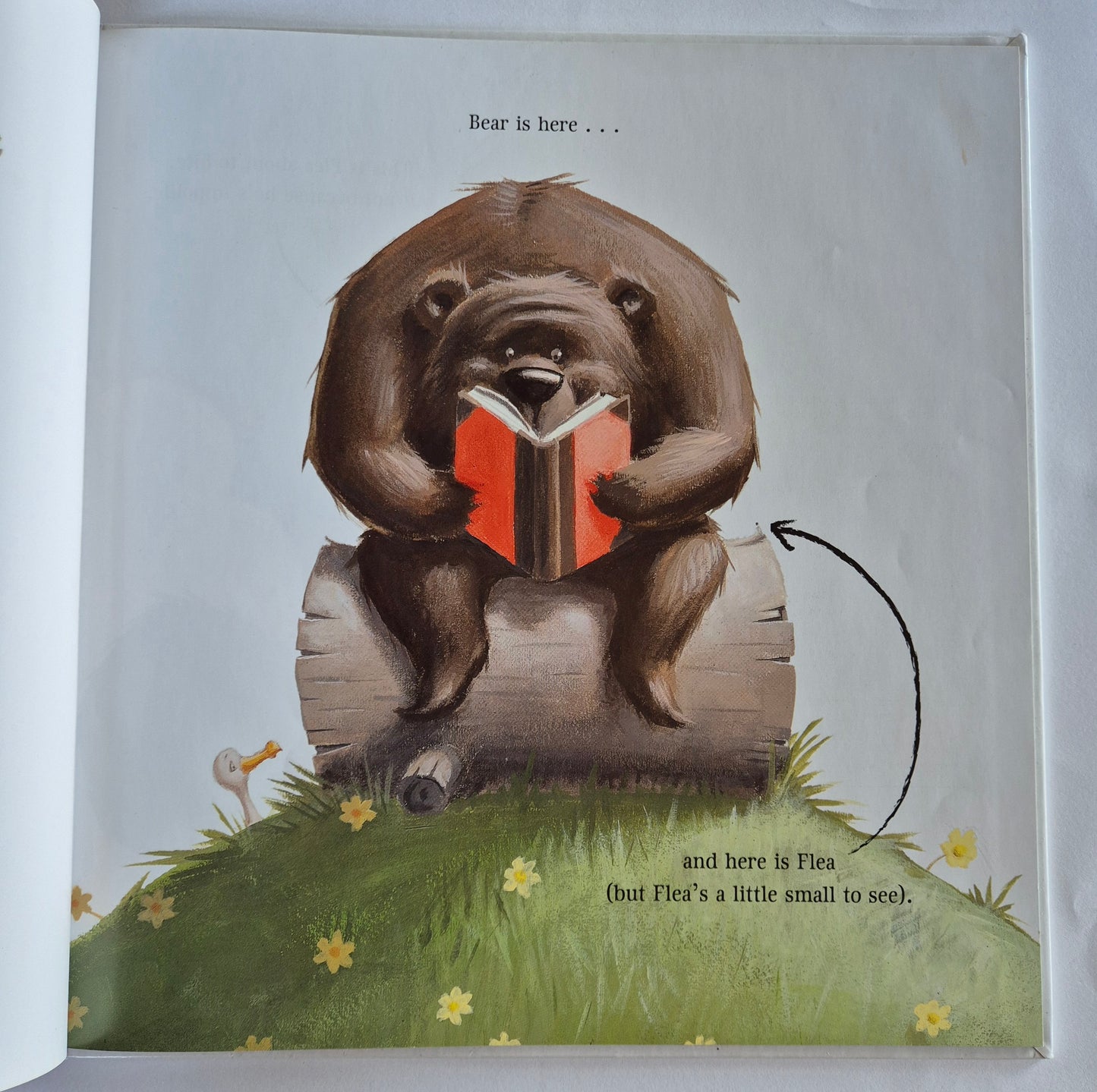 The Very Itchy Bear (The Bear #2) by Nick Bland