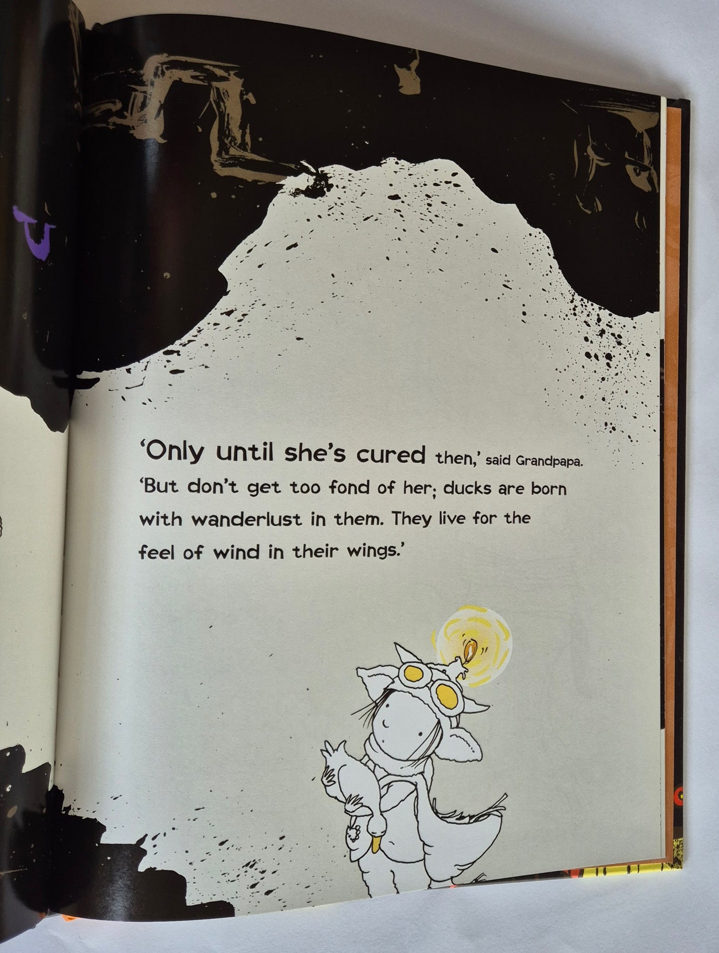 The Duck and the Darklings by Glenda Millard