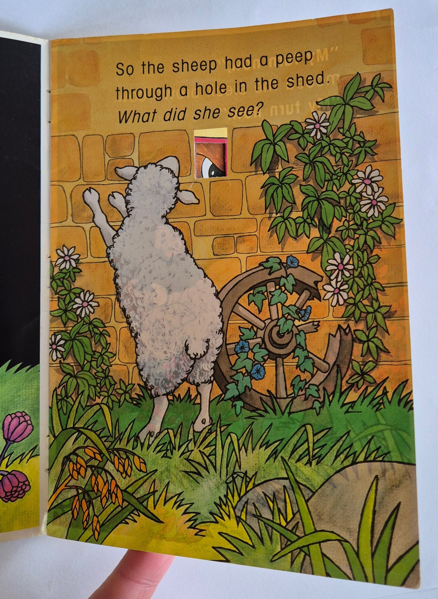 Who's in the Shed? by Brenda Parkes