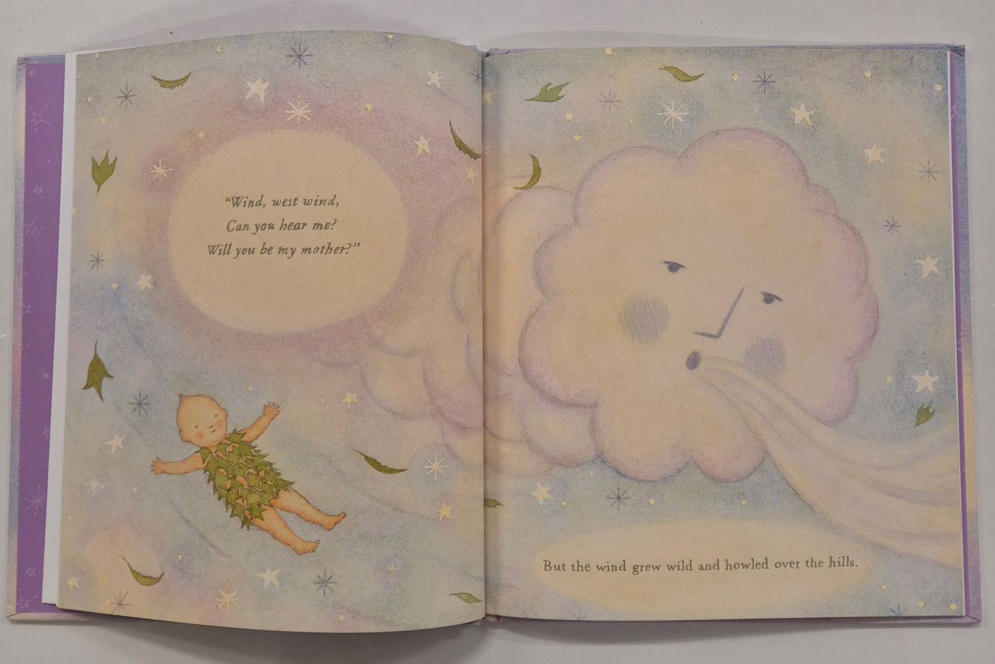 The Starlight Baby by Gillian Shields