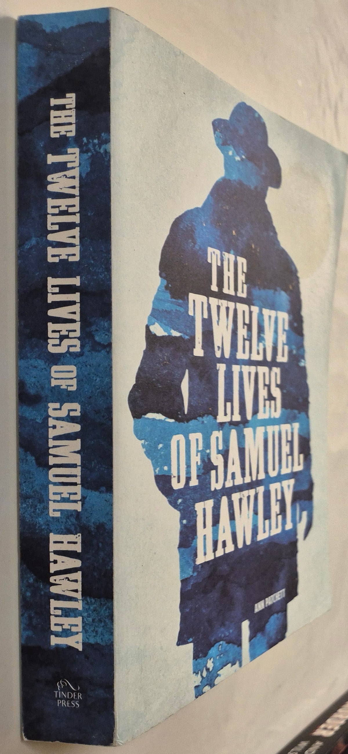 The Twelve Lives of Samuel Hawley by Hannah Tinti