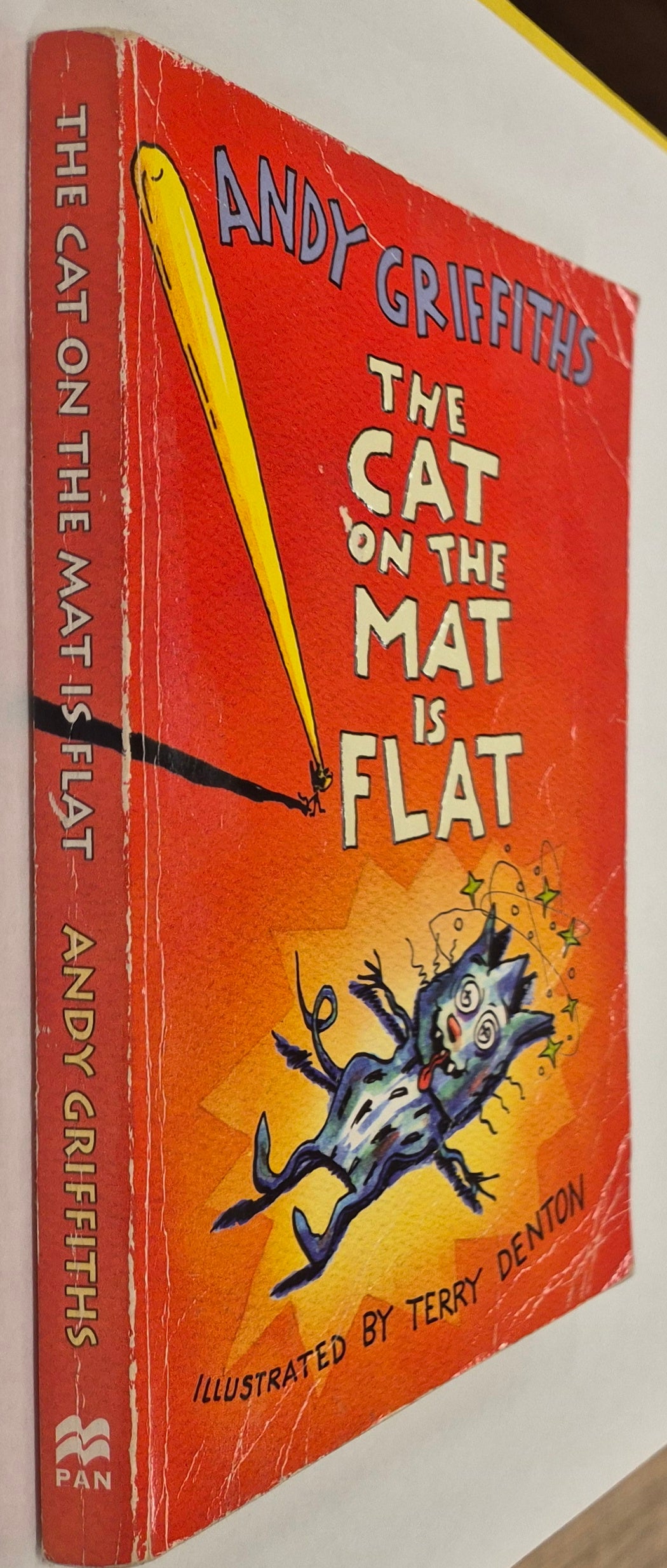 The Cat on the Mat is Flat by Andy Griffiths