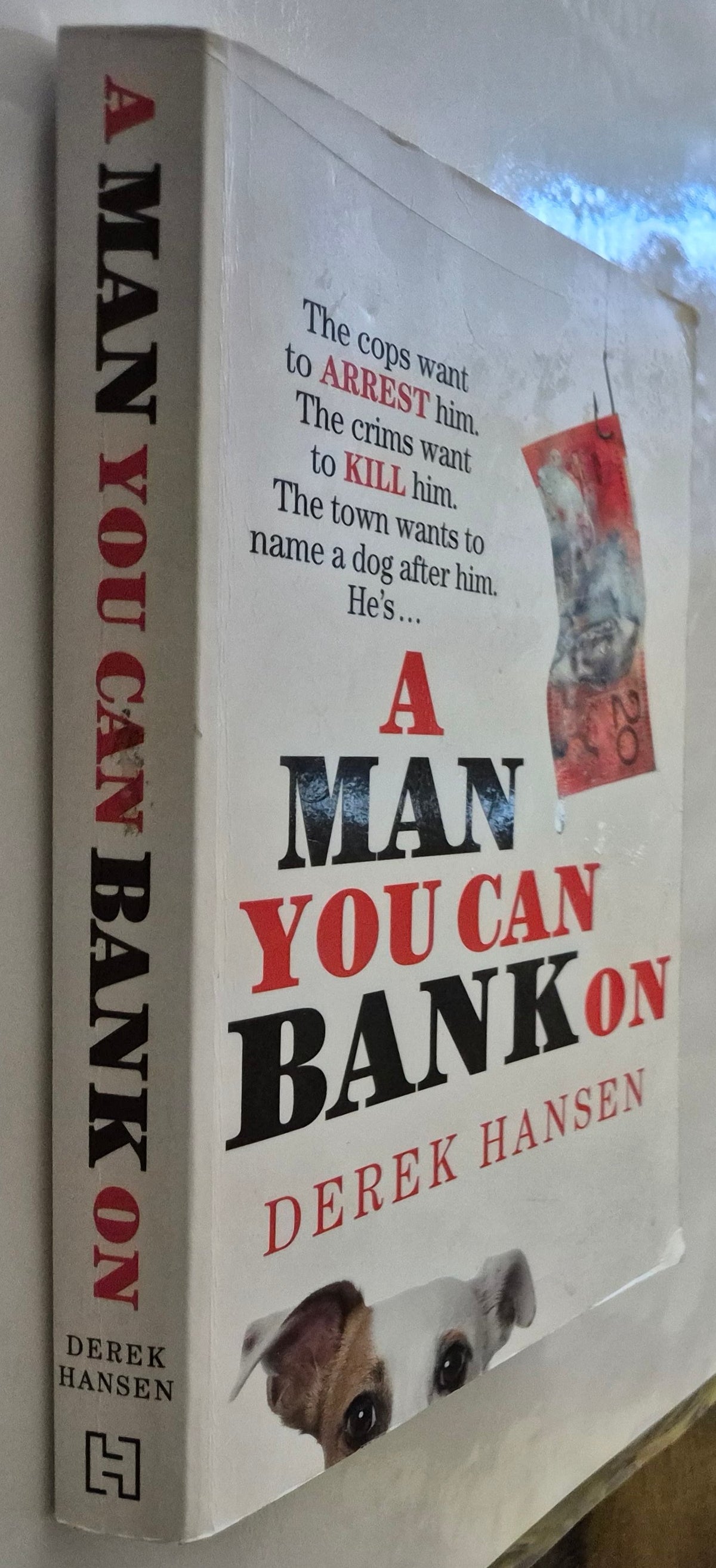 A Man You Can Bank On by Derek Hansen