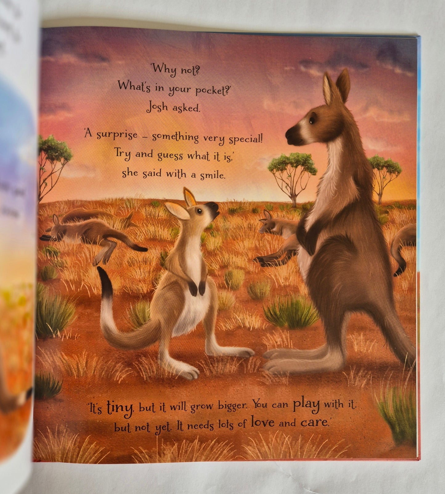 What's in Your Pocket? by Ruth Symons & Laura Watkins