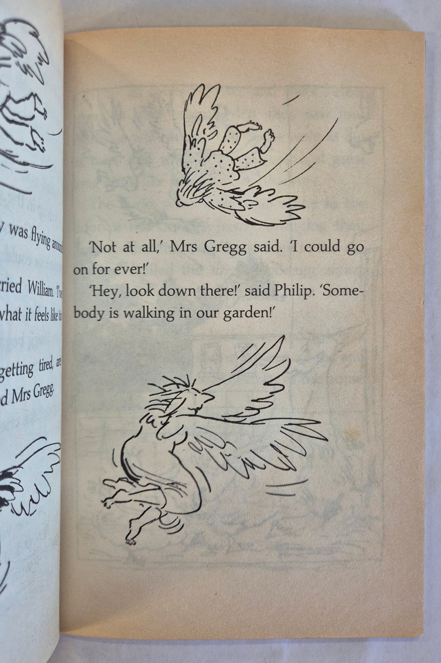 The Magic Finger by Roald Dahl