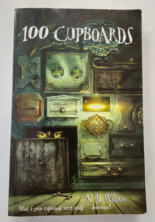100 Cupboards (100 Cupboards #1) by N. D. Wilson