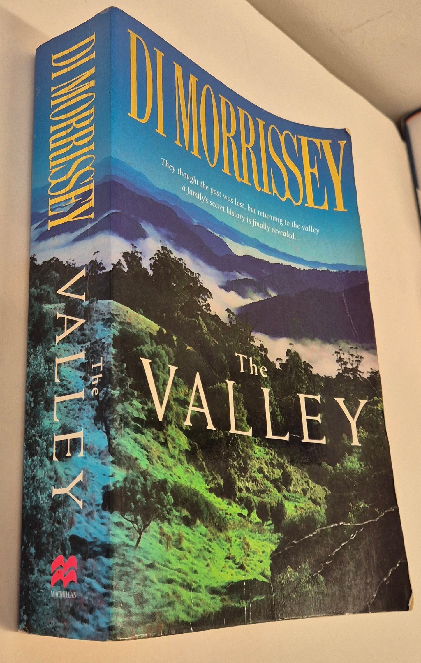 The Valley by Di Morrissey