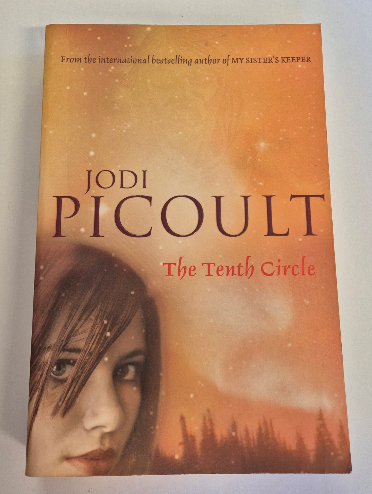 The Tenth Circle by Jodi Picoult