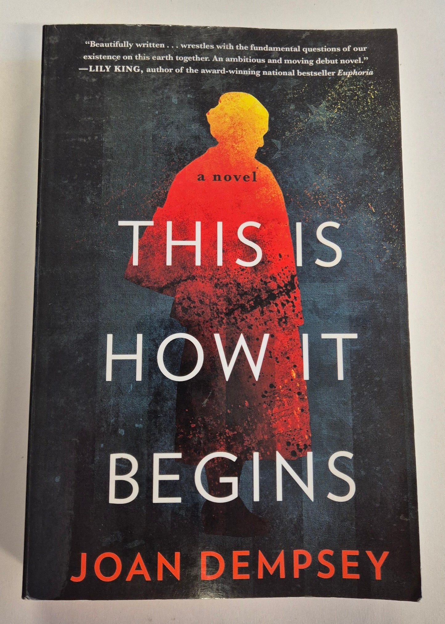 This is How It Begins by Joan Dempsey