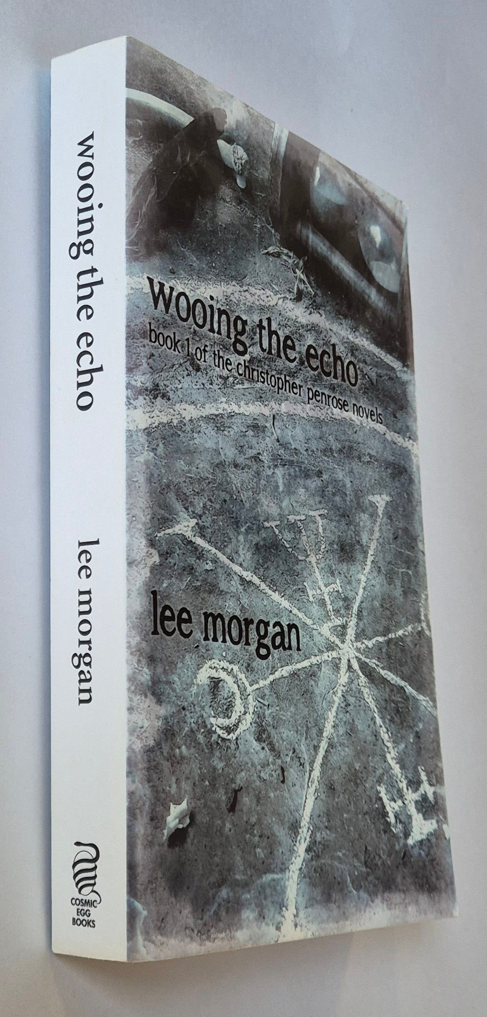 Wooing the Echo (Christopher Penrose #1) by Lee Morgan
