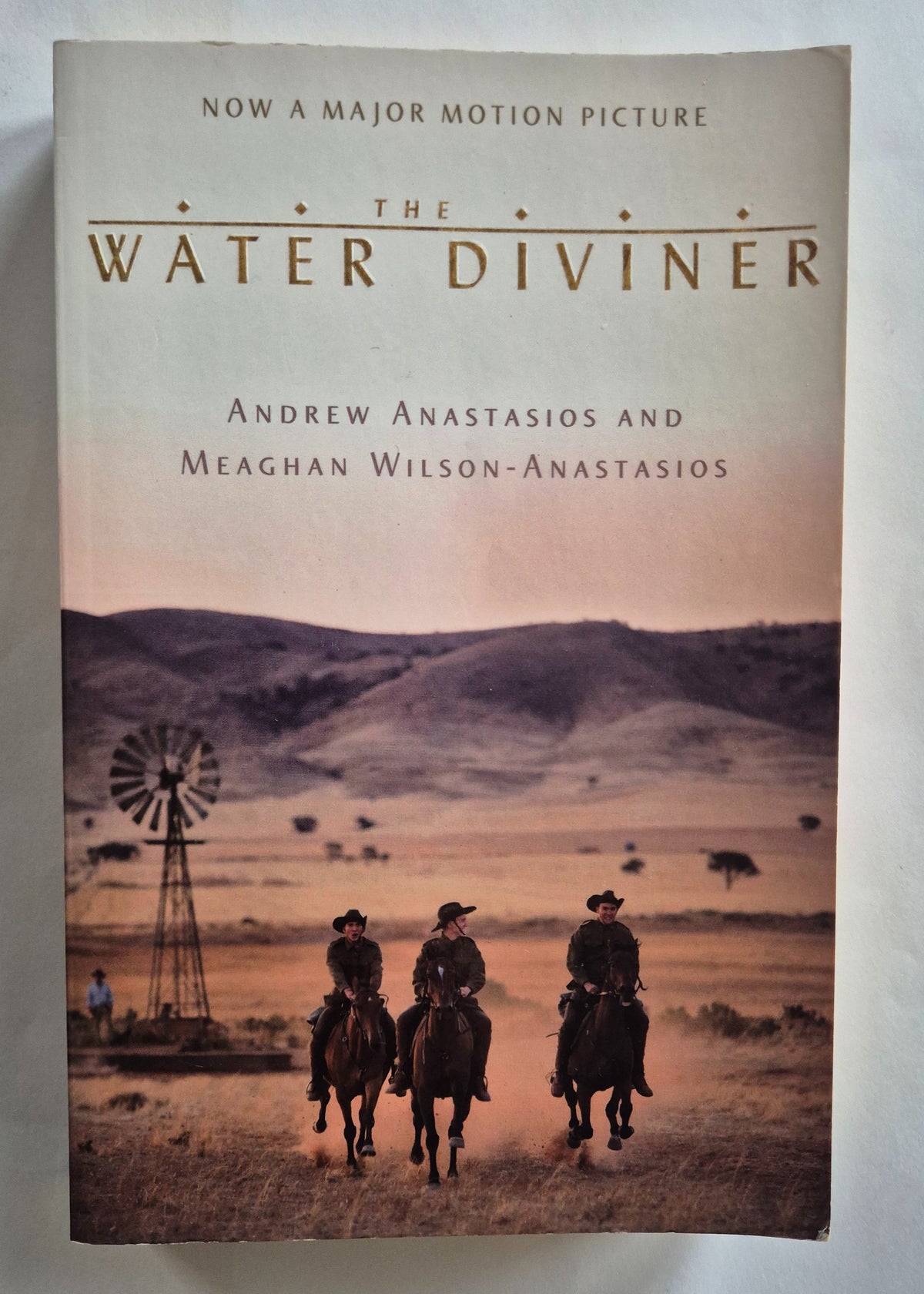 The Water Diviner by Andrew Anastasios with Meaghan Wilson Anastasios