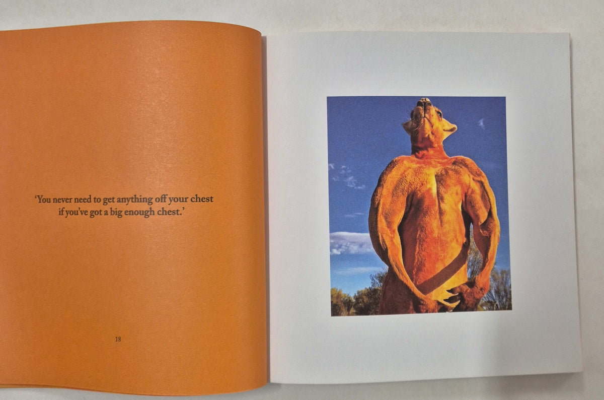 Don't Call Me Skippy Life Lessons From Tough Kangaroos by Dominic Knight