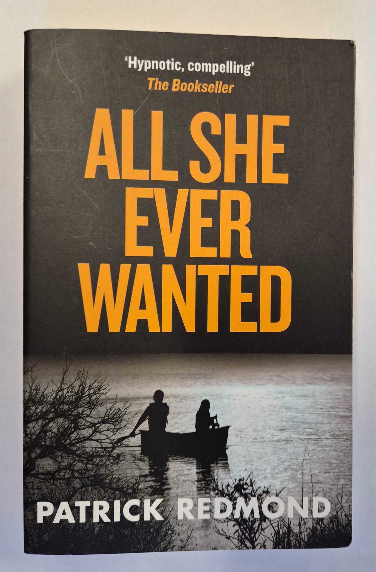 All She Ever Wanted by Patrick Redmond