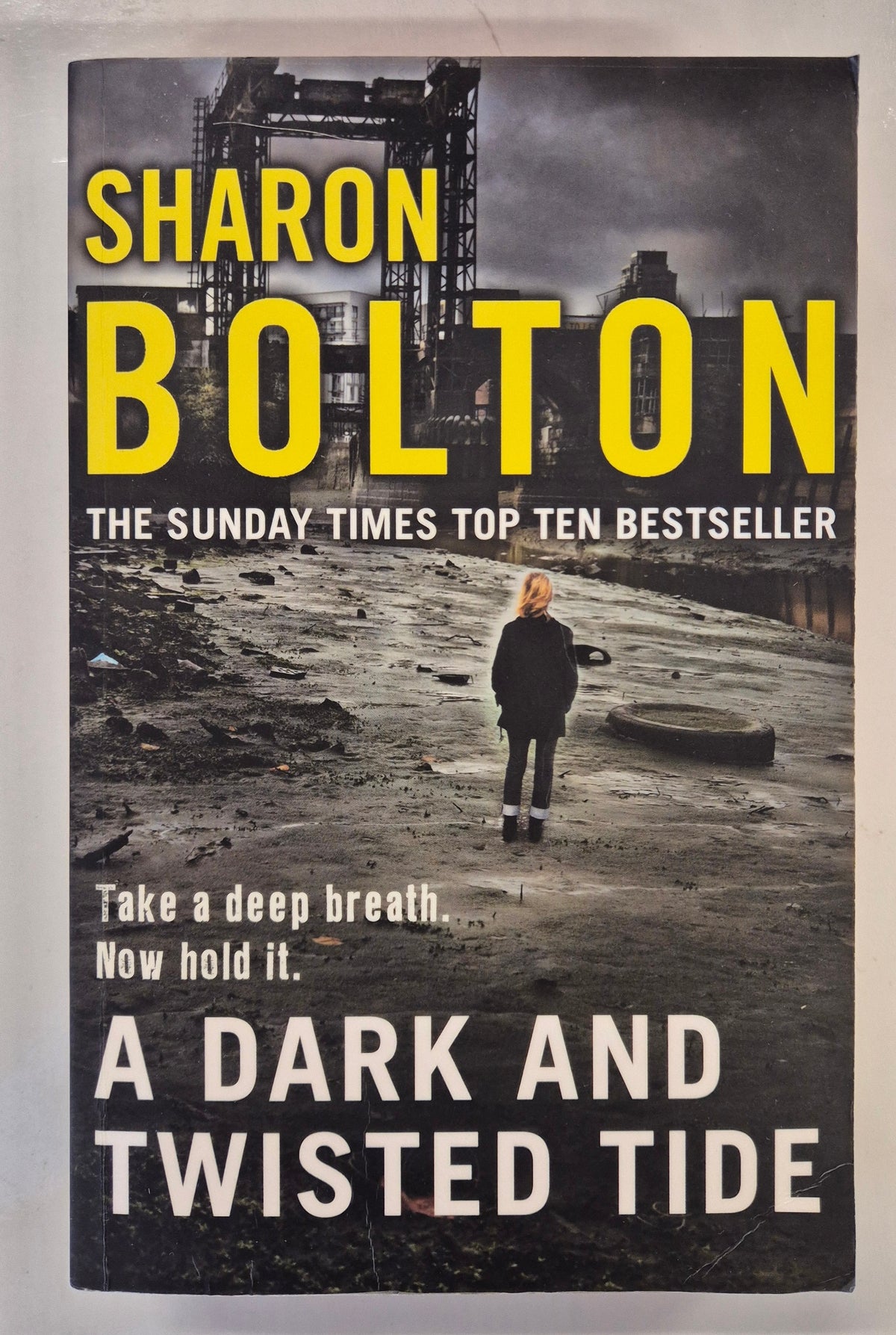 A Dark and Twisted Tide (Lacey Flint #4) by Sharon Bolton