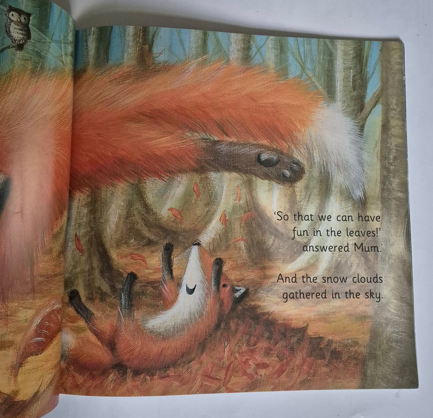 Cub's First Winter by Rebecca Elliott