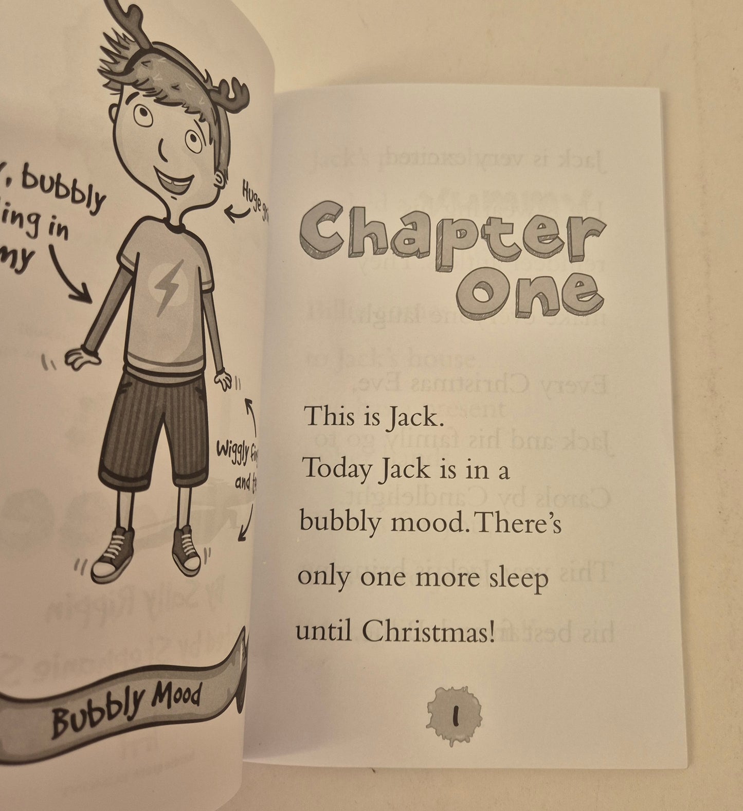 The Lost Reindeer (Hey Jack! #8) by Sally Rippin