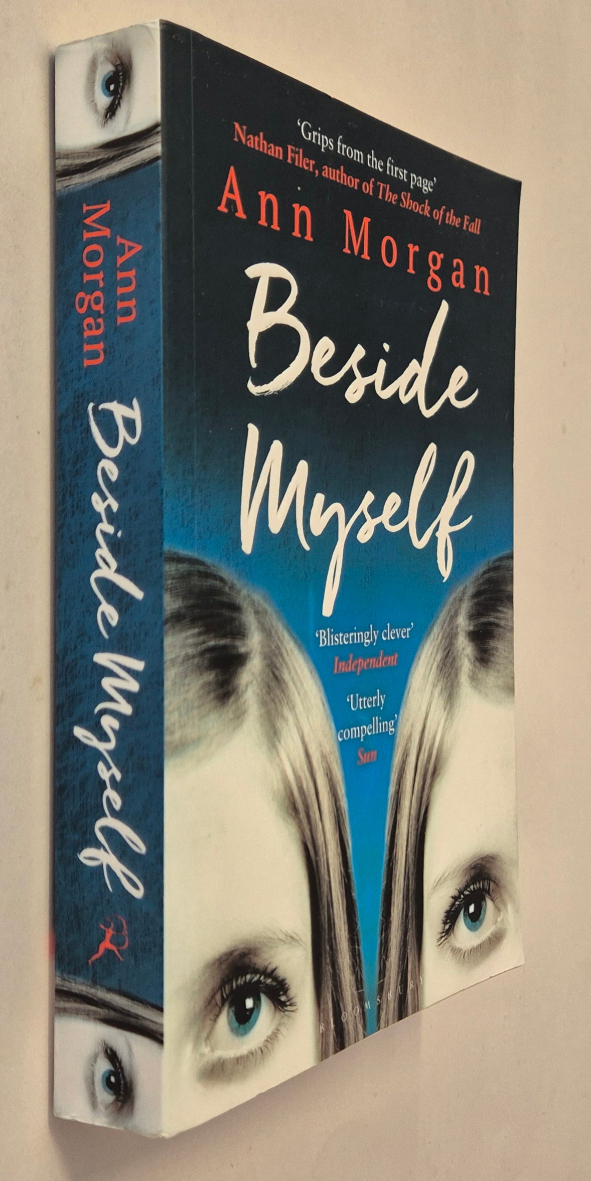 Beside Myself by Ann Morgan