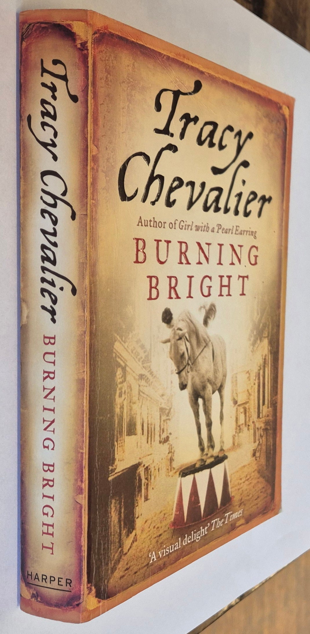 Burning Bright by Tracy Chevalier