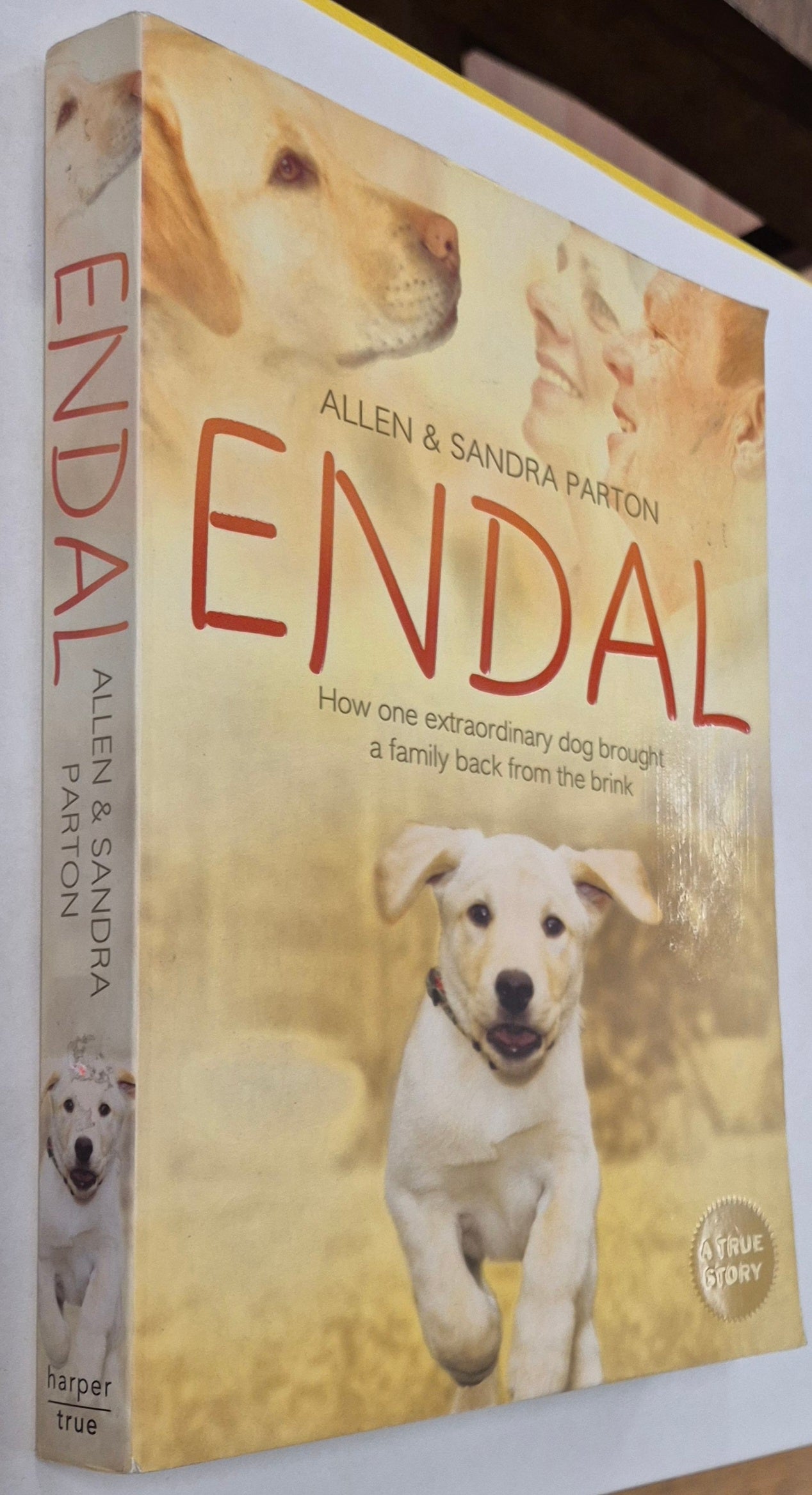 Endal: How One Extraordinary Dog Brought a Family Back From the Brink by Allen & Sandra Parton with Gill Paul
