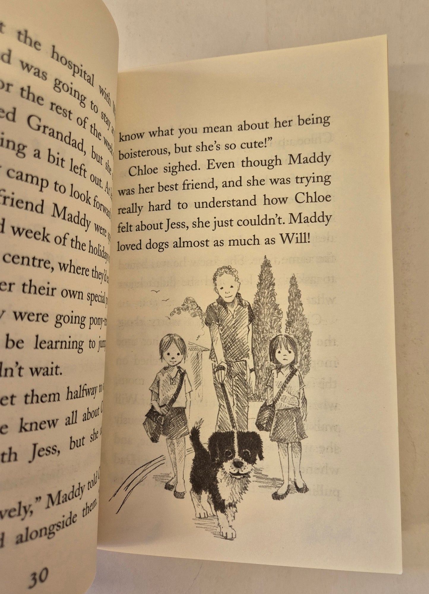 Jess the Lonely Puppy (Animal Stories #6) by Holly Webb