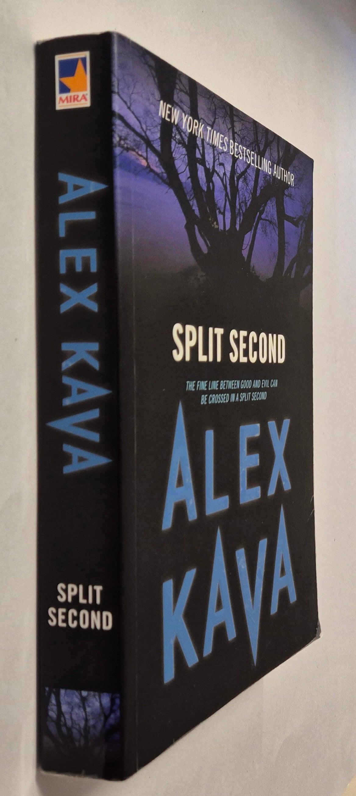 Split Second (Maggie O'Dell #2) by Alex Kava