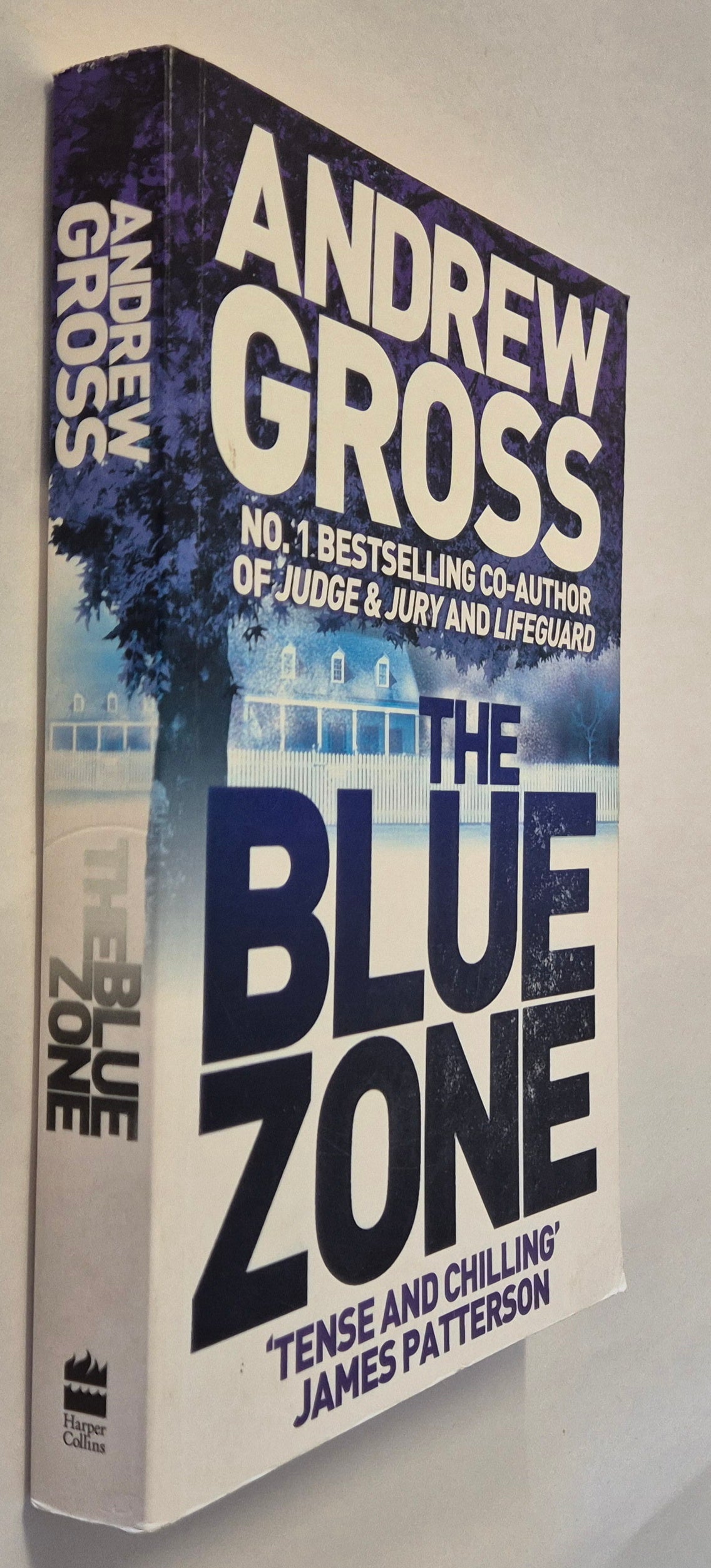 The Blue Zone by Andrew Gross