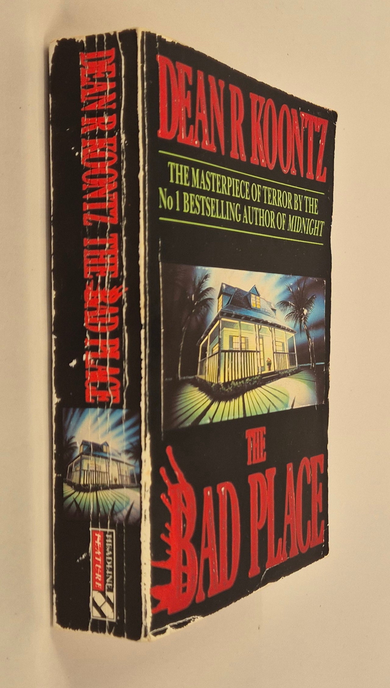 The Bad Place by Dean Koontz