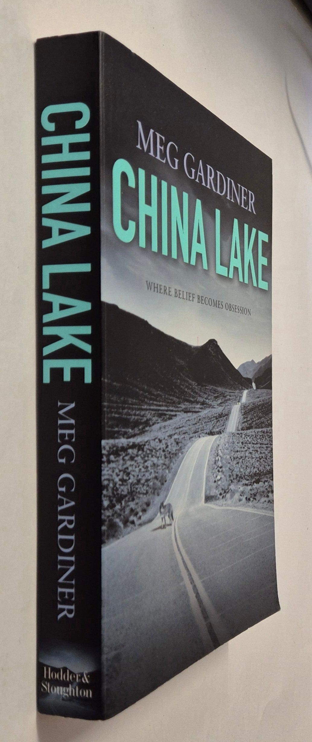China Lake (Evan Delaney #1) by Meg Gardiner