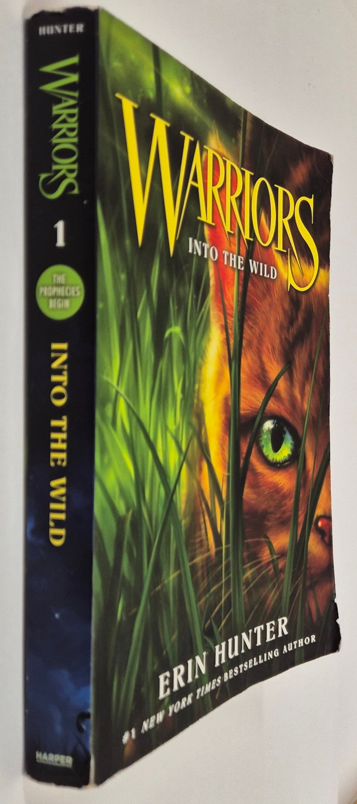 Into the Wild (Warriors: The Prophecy Begins #1) by Erin Hunter
