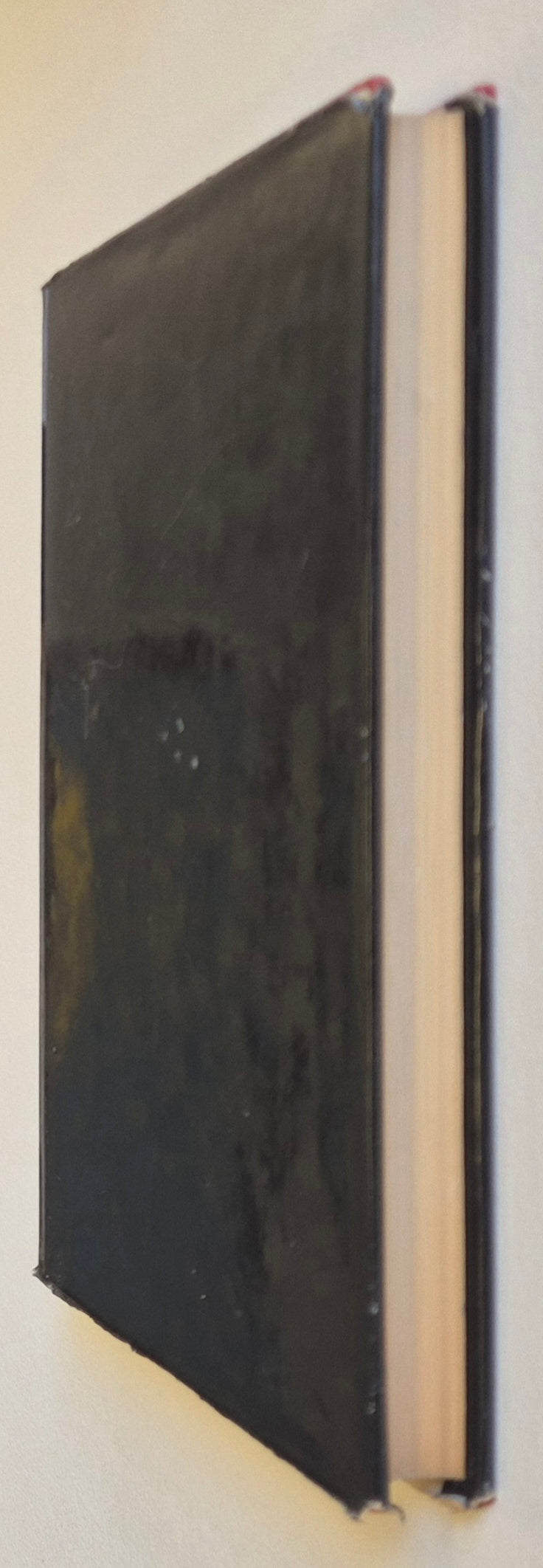 Tuna by Kenneth Cook