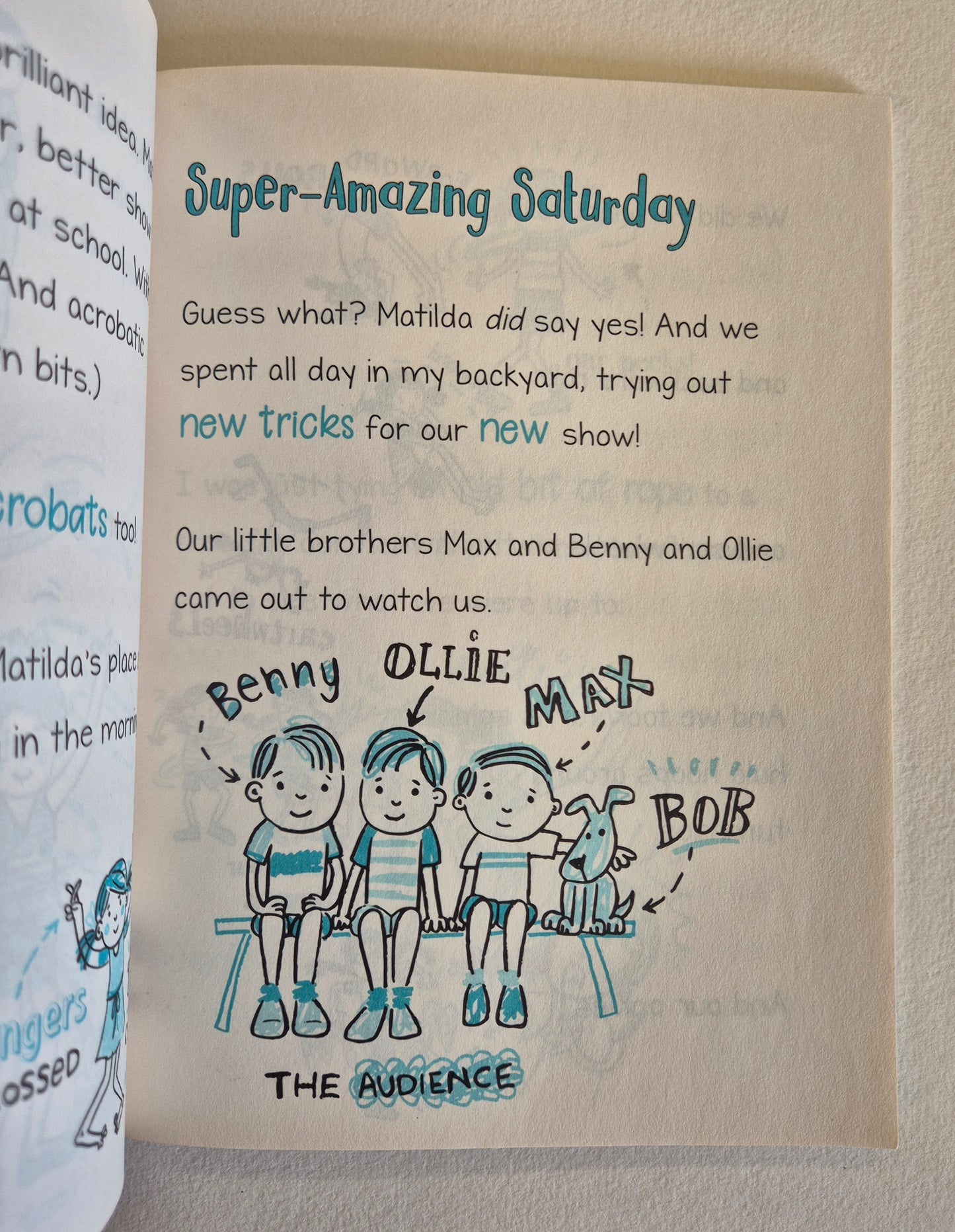 Amazing Acrobats (Olivia's Secret Scribbles #3) by Meredith Costain