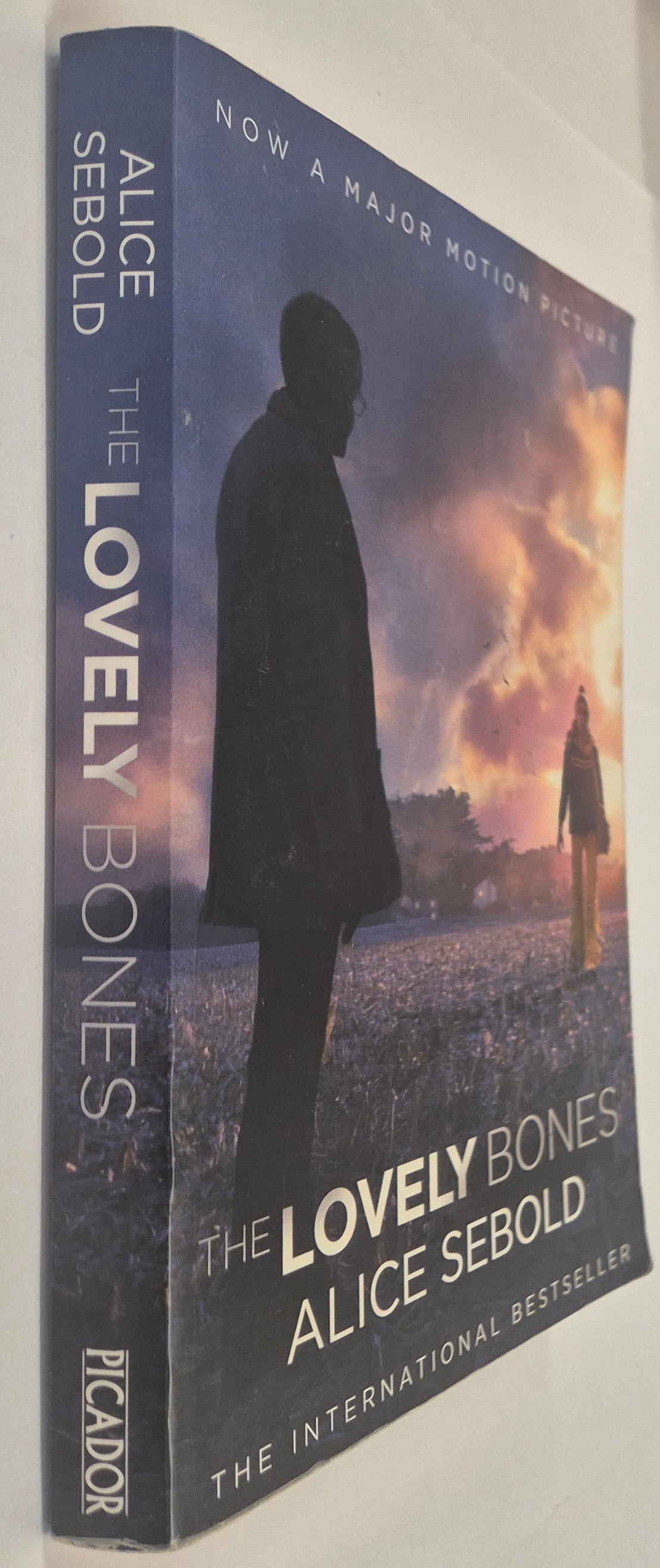 The Lovely Bones by Alice Sebold