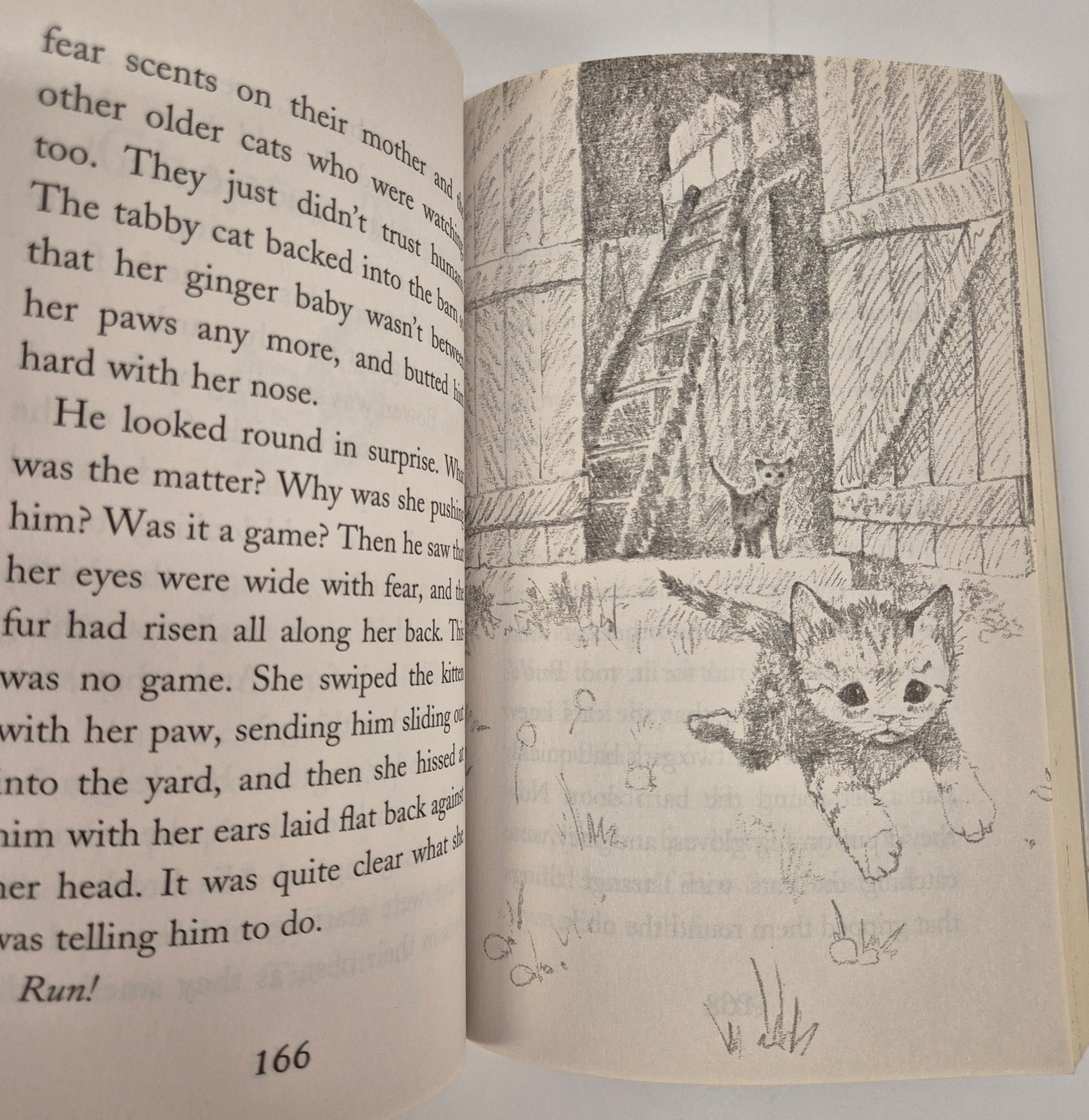 Kitten Tales: (Animal Stories - #17 Sky the Unwanted Kitten + #14 Ginger the Stray Kitten + #4 Misty the Abandoned Kitten) by Holly Webb