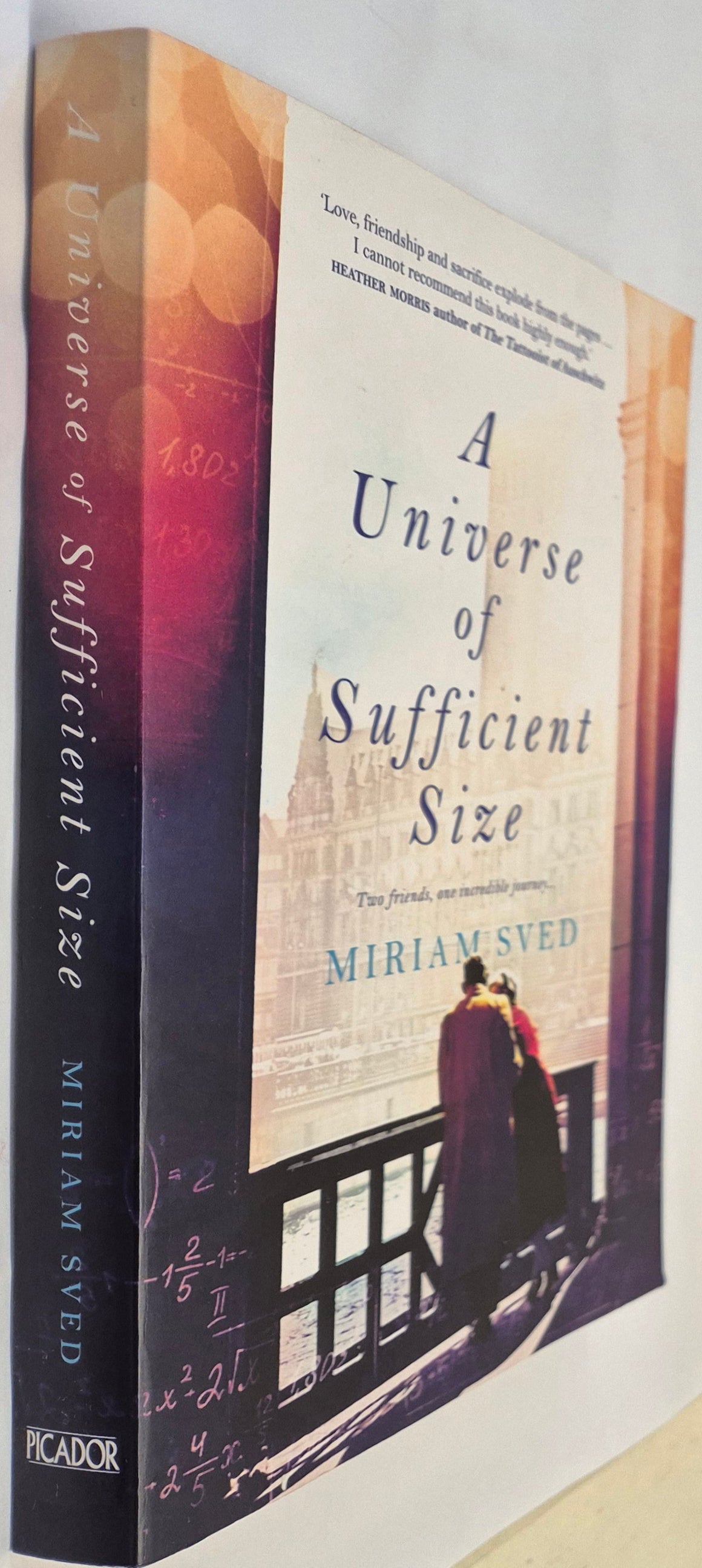 A Universe of Sufficient Size by Miriam Sved