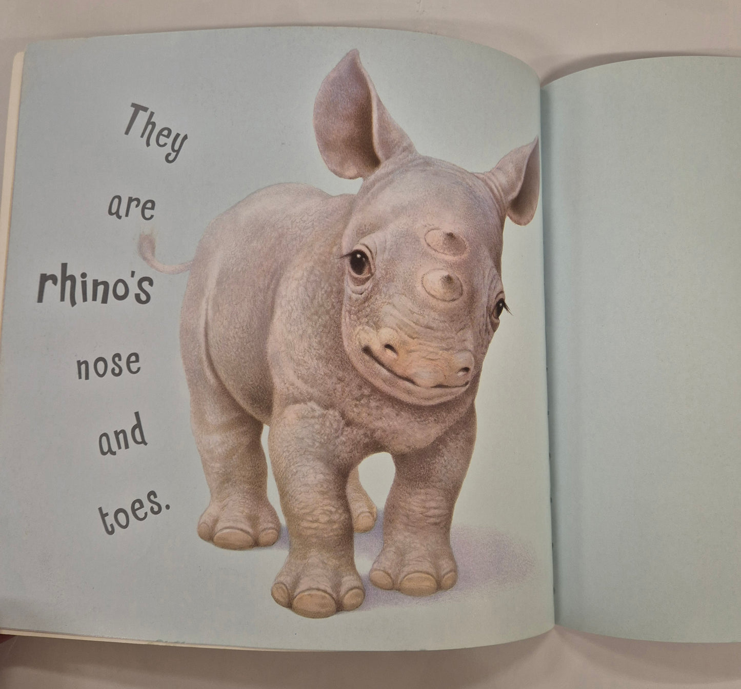 Whose Nose and Toes? by John Butler