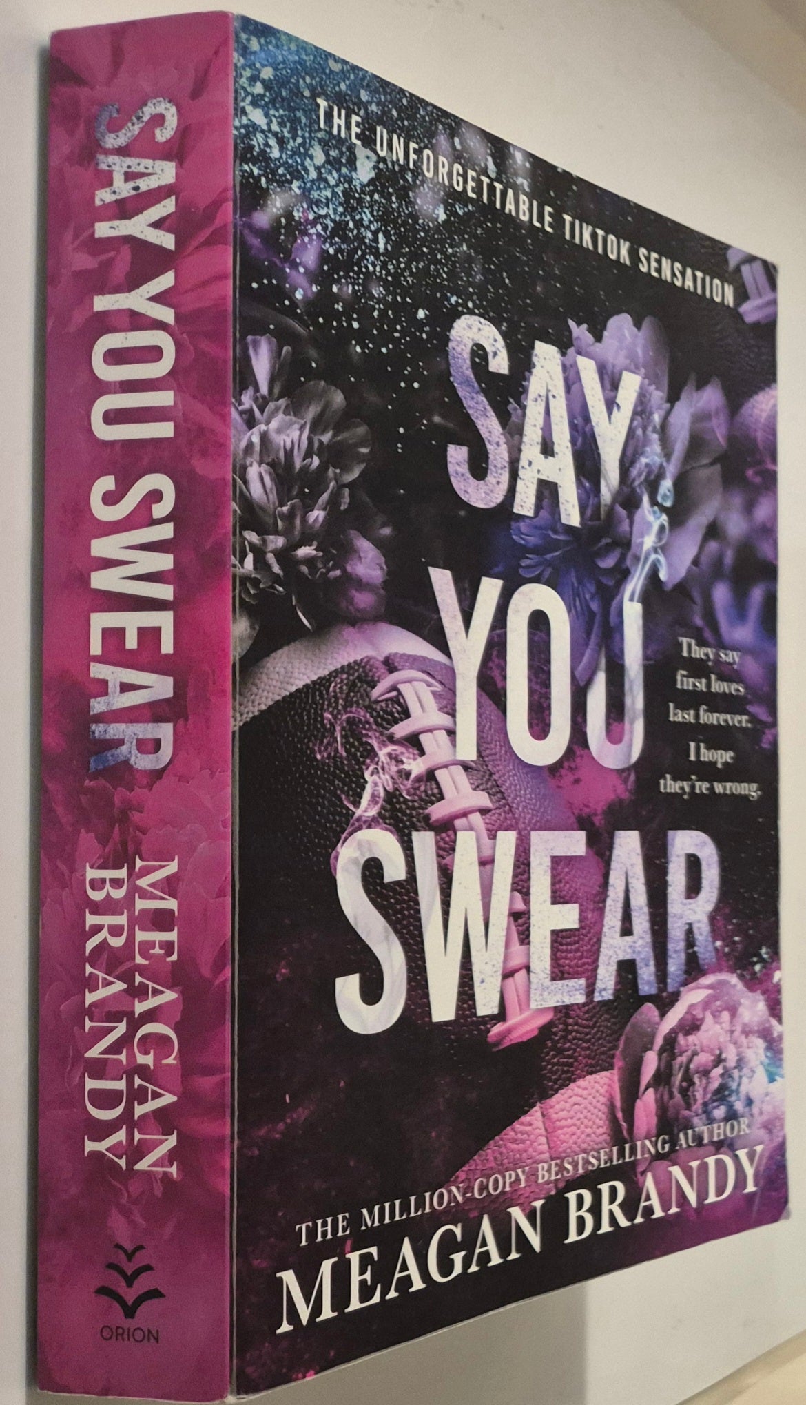 Say You Swear (Boys of Avix #1) by Meagan Brandy