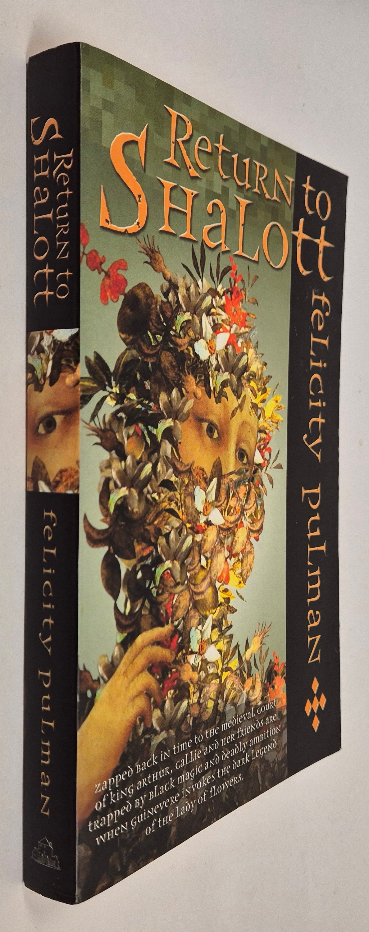 Return to Shalott (Shalott #2) by Felicity Pulman