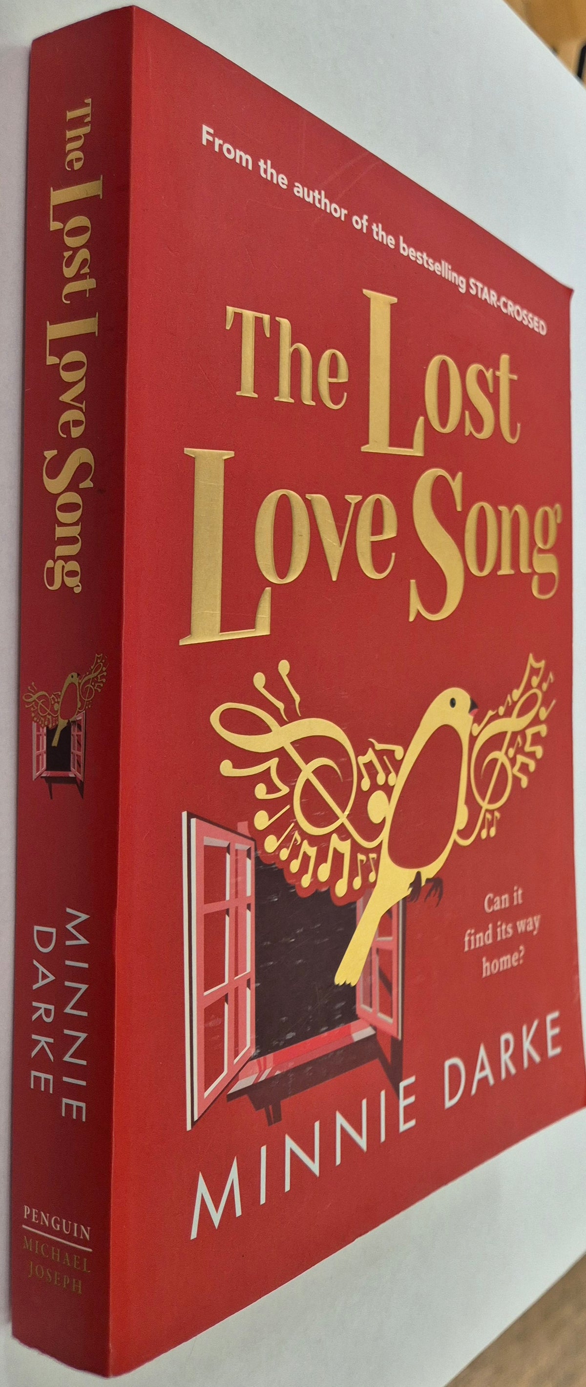 The Lost Love Song by Minni Darke