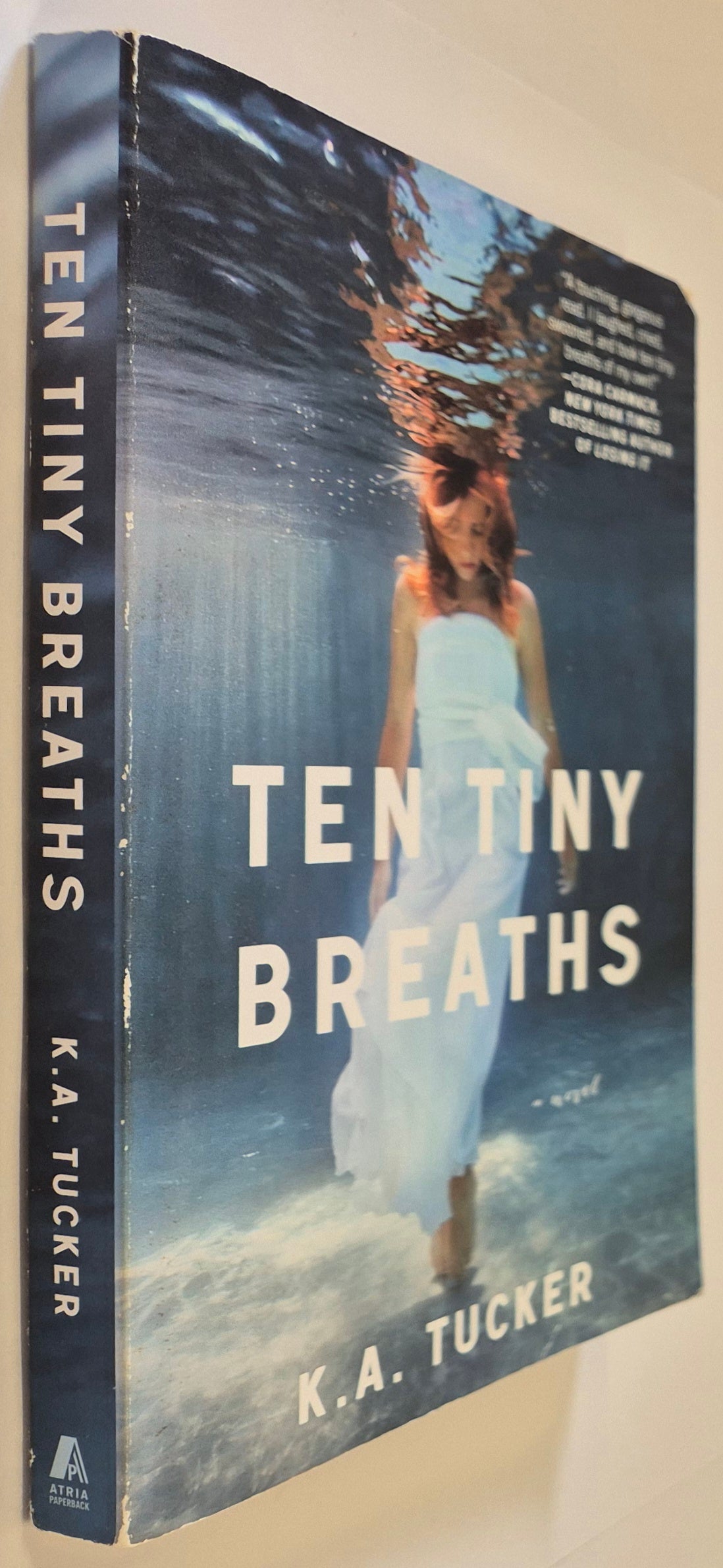 Ten Tiny Breaths (Ten Tiny Breaths #1) by K. A. Tucker