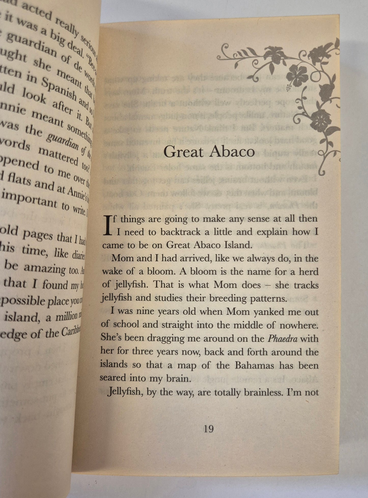 The Island of Lost Horses by Stacy Gregg