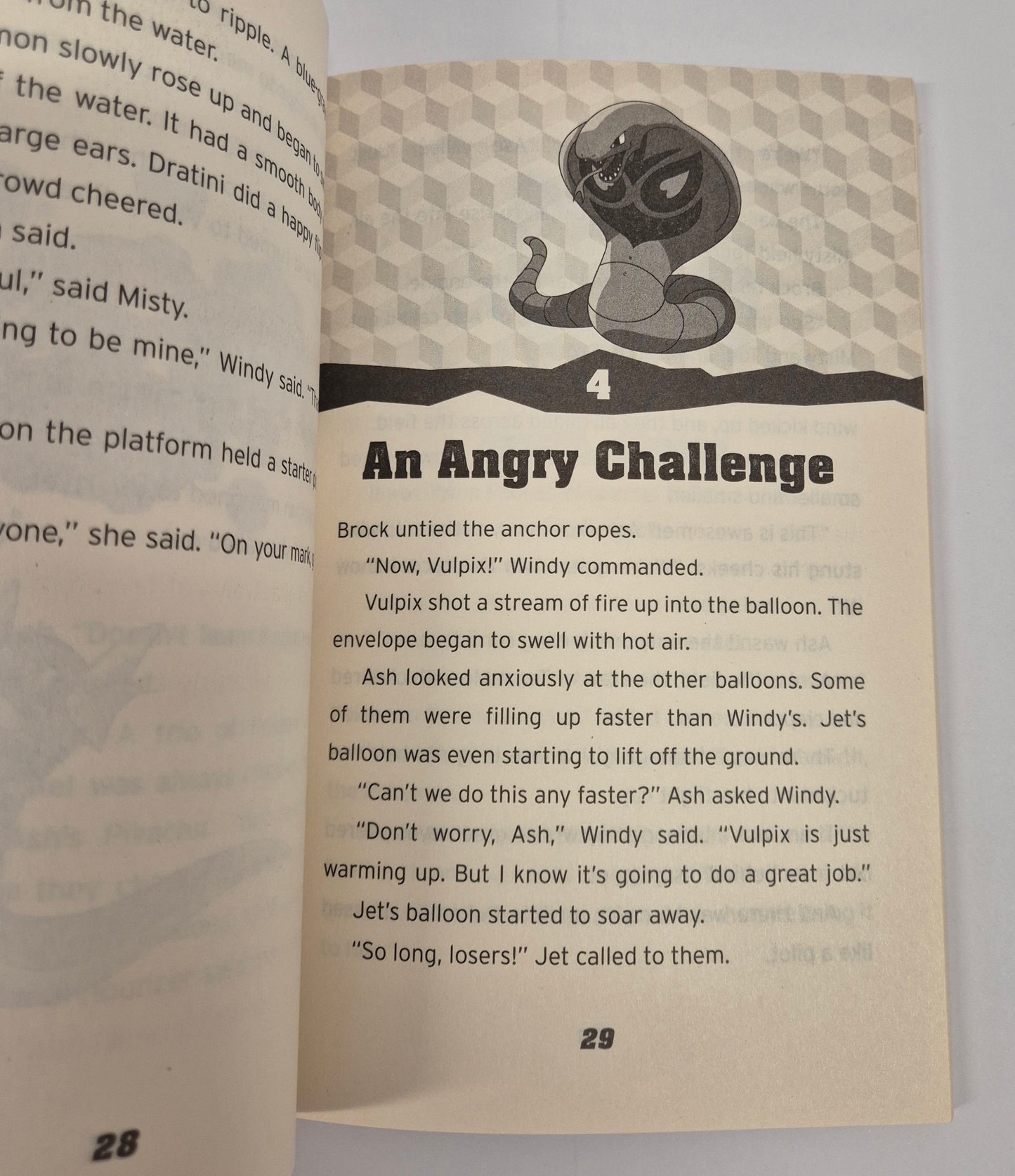 Race to Danger (Pokemon Chapter Book #13) by Tracey West
